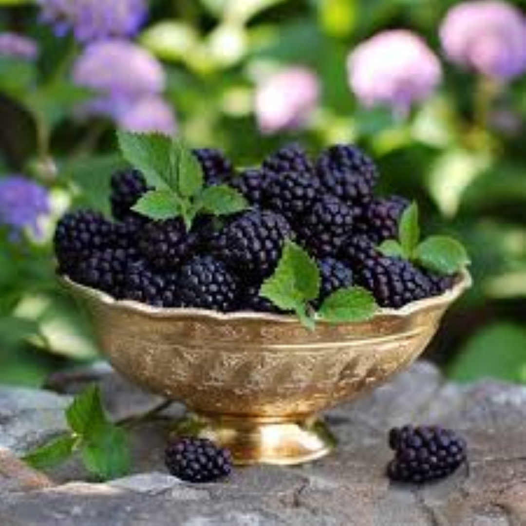 EVERGREEN BLACKBERRY 125G